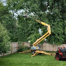 Best Lawn Disease Treatment  in Old Stine, CA